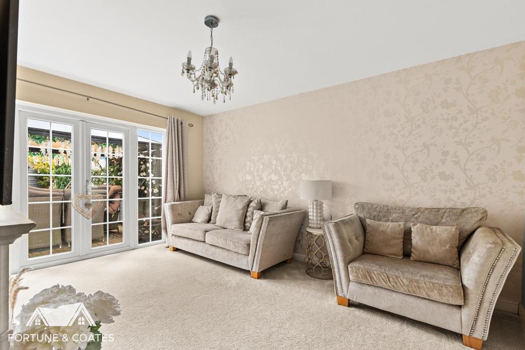 Collins Meadow 9.jpg