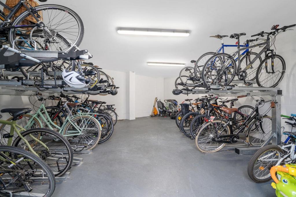 Bikes.jpg