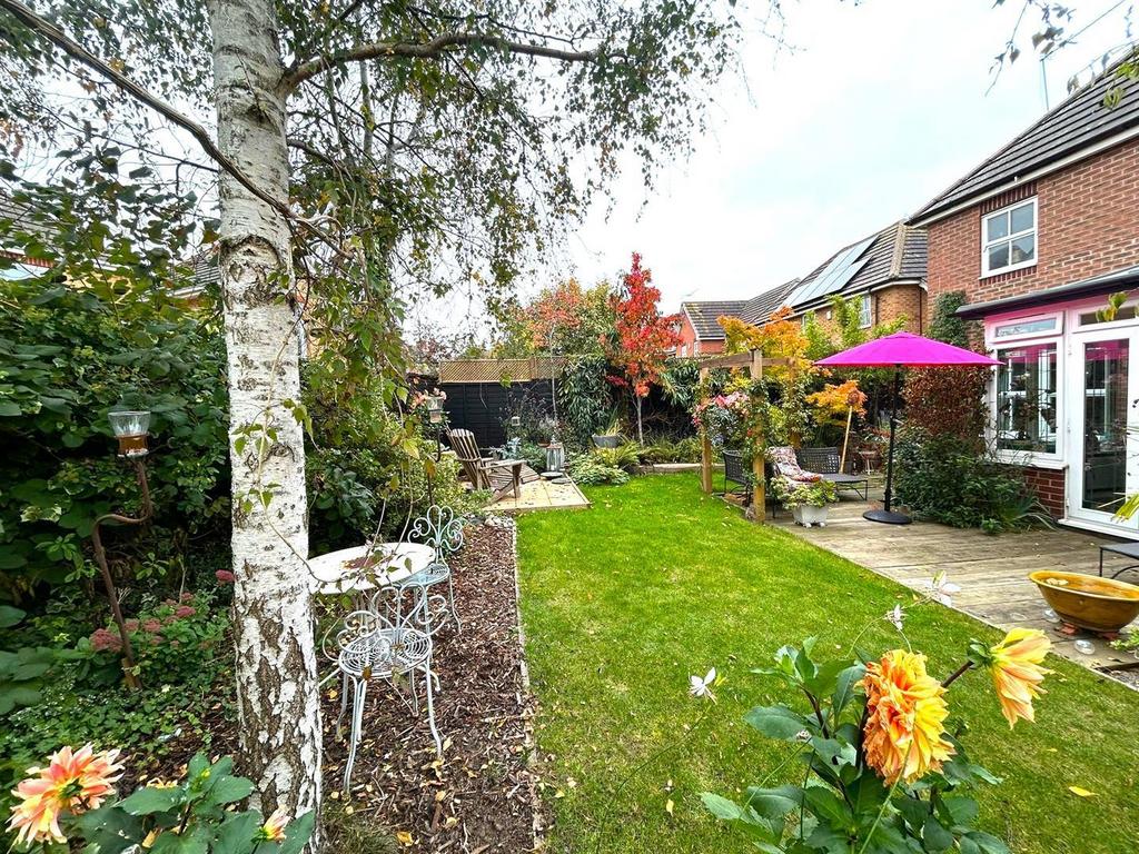 The Rear Garden