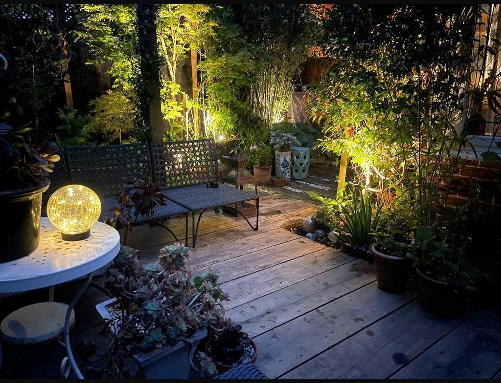 The Garden at Night
