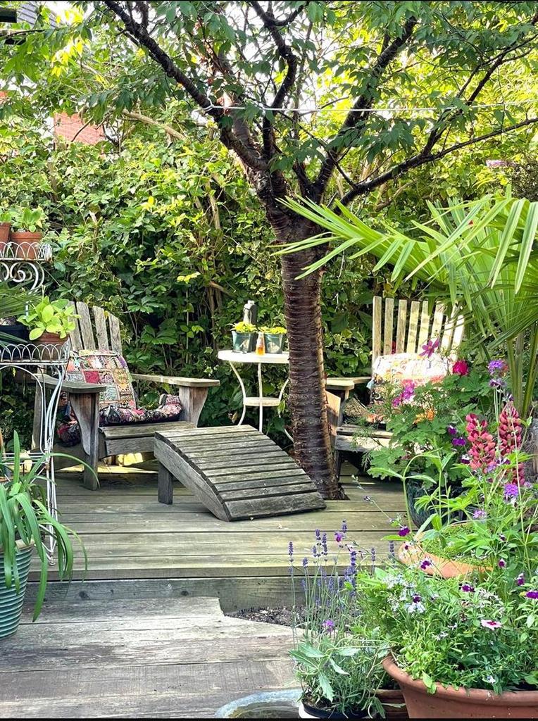 The Rear Garden