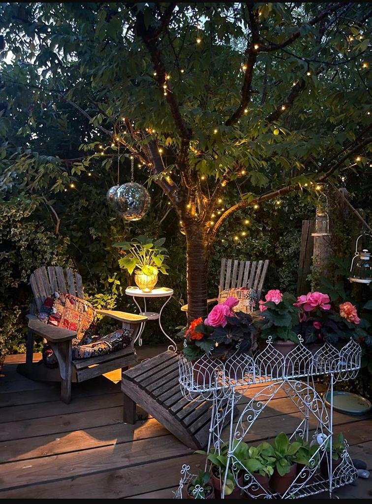 The Garden at Night