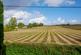 Additional image 2 of South Street, Boughton-under-Blean, Faversham, Kent, ME13