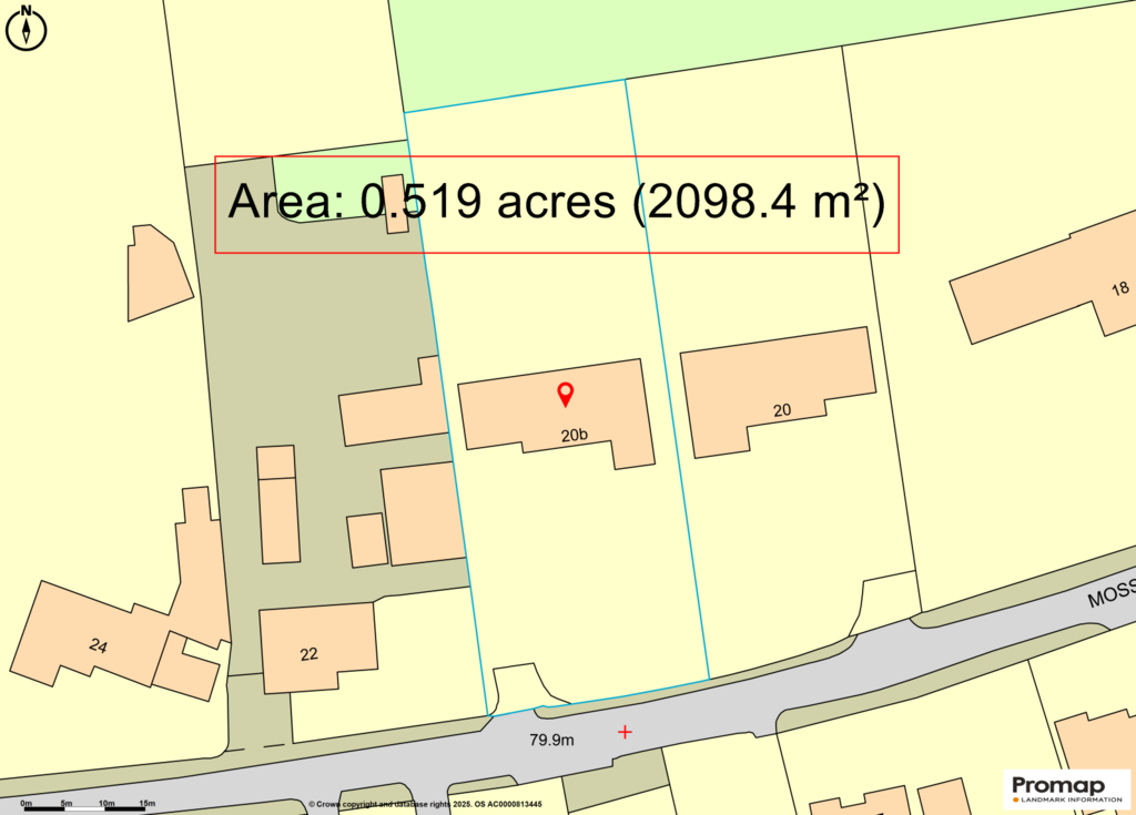 Plot