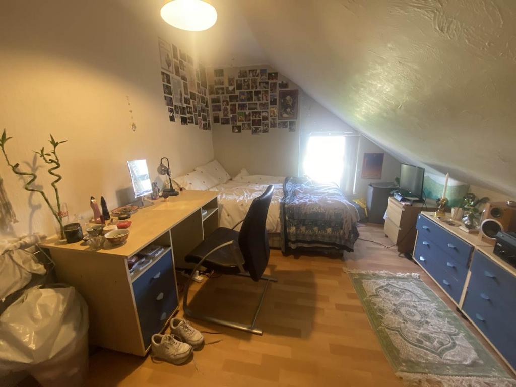 Attic (2)