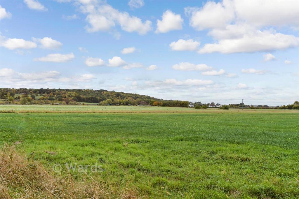 Surrounding Area