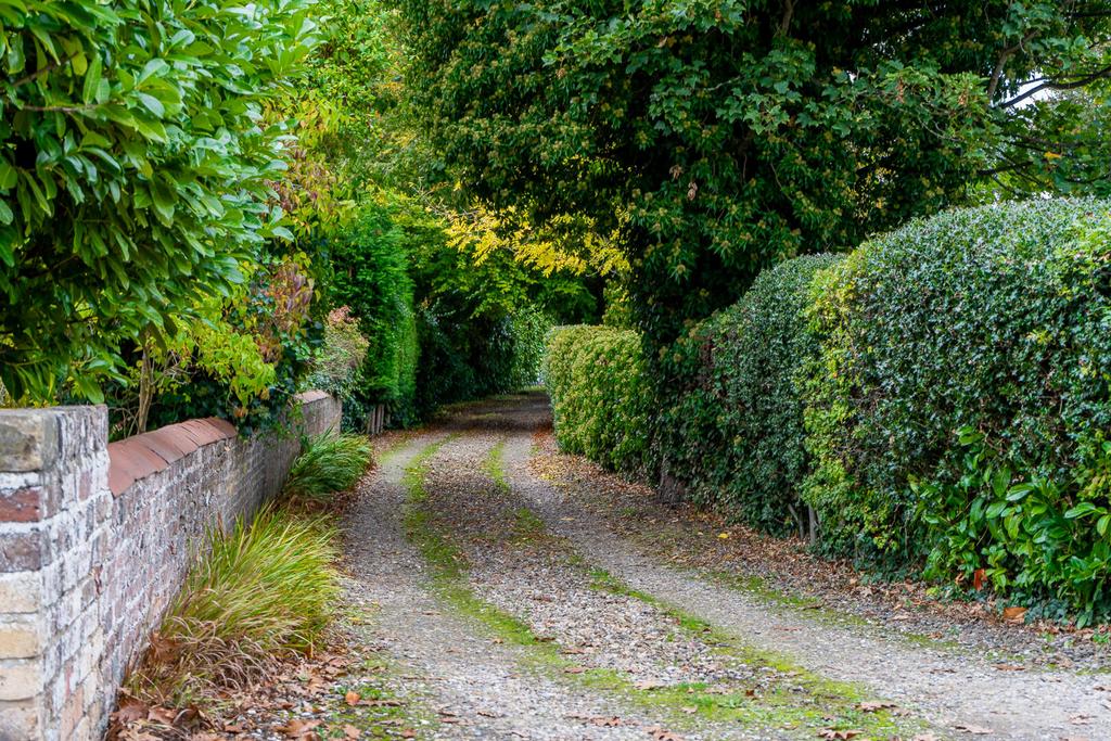 Driveway