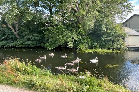 undefined, Towpath Walk, Carnforth