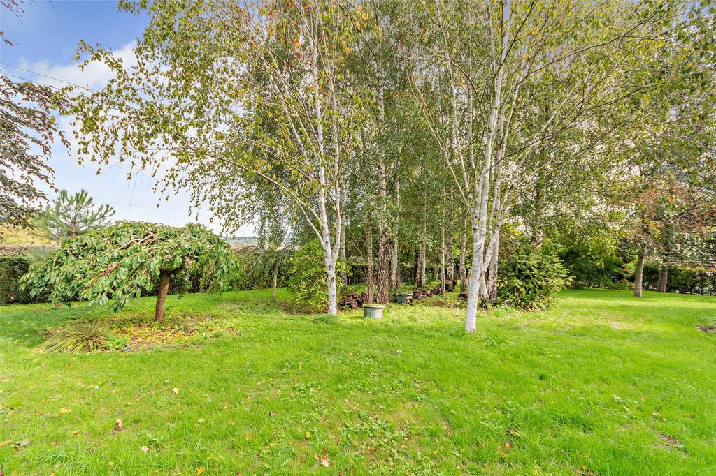Woodland Garden