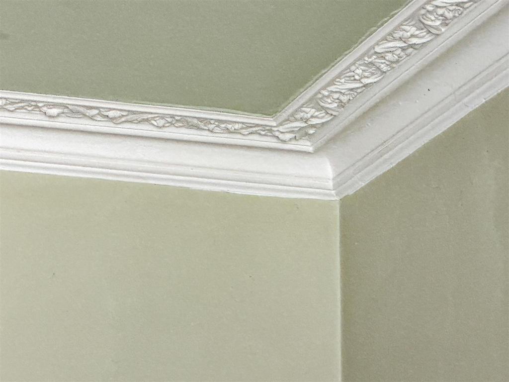Image00010 Alto.jpg