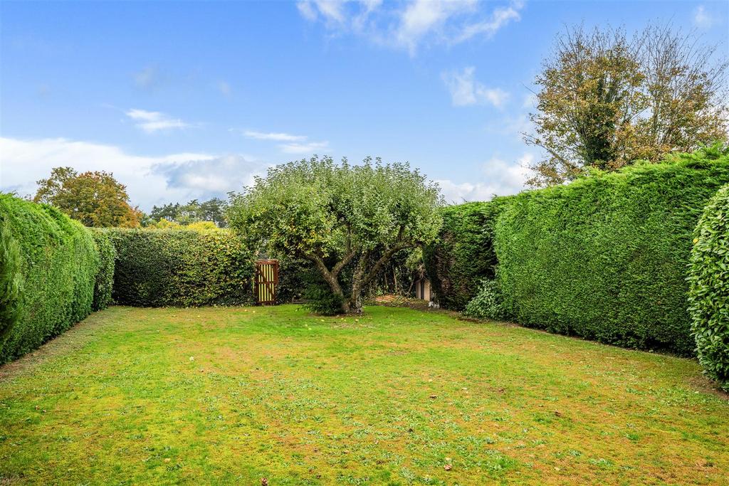Garden view, garden