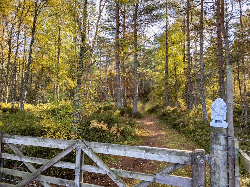 Forestry Track