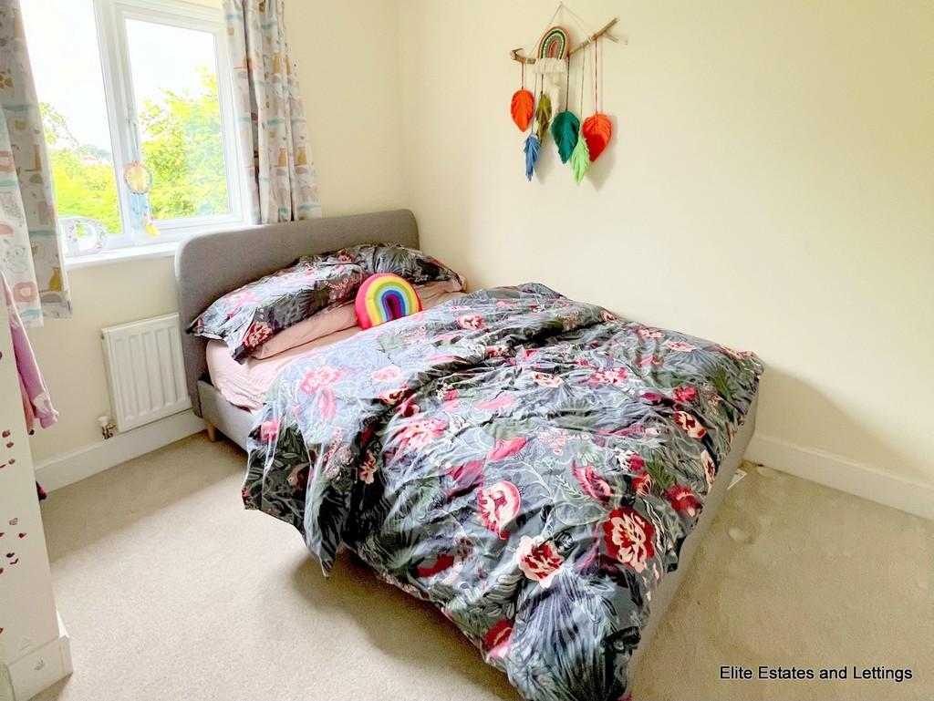 10 img 1441
