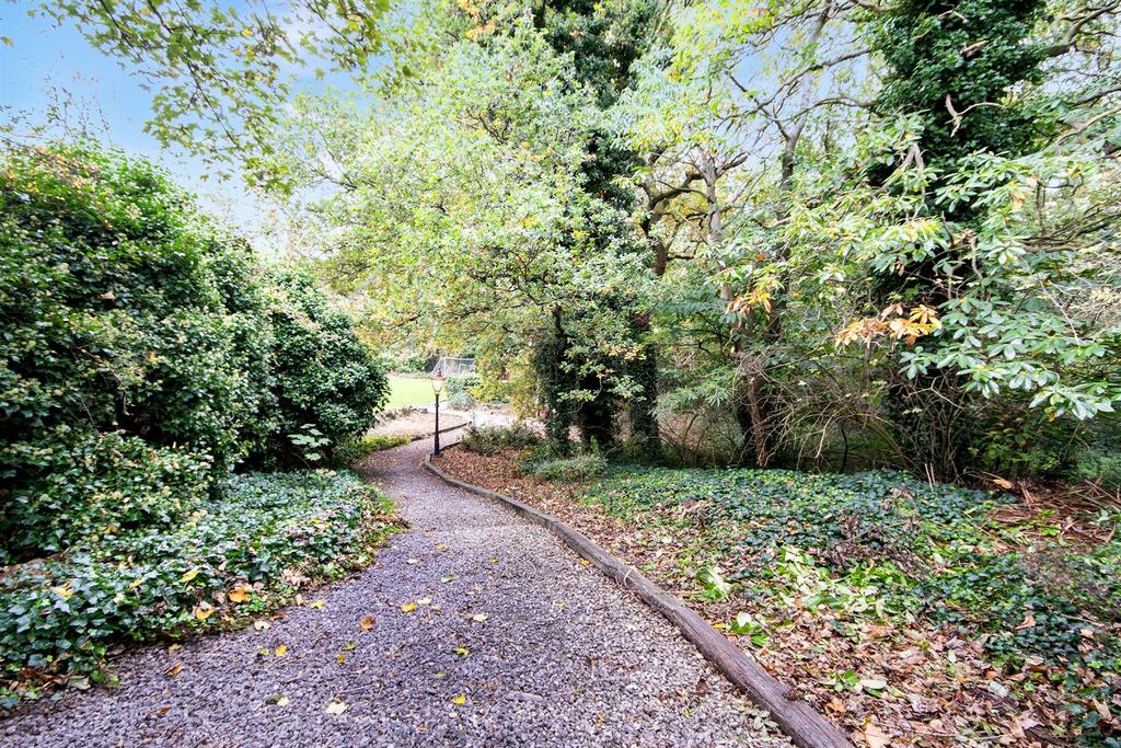 Driveway