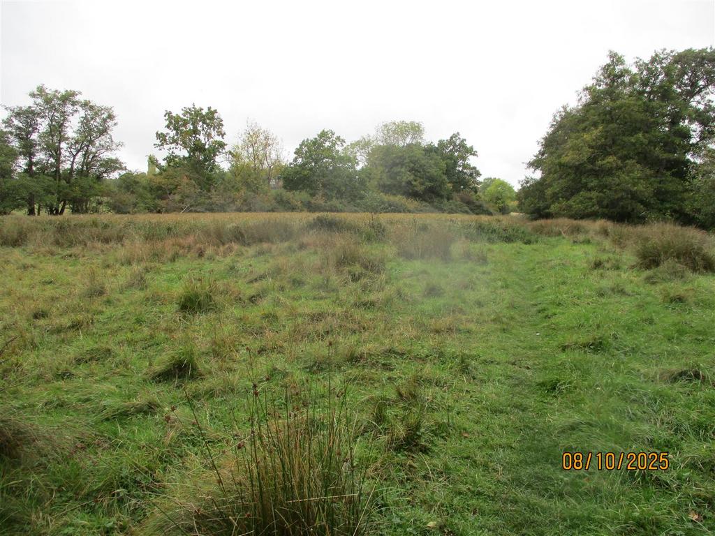 Img 9878.jpg
