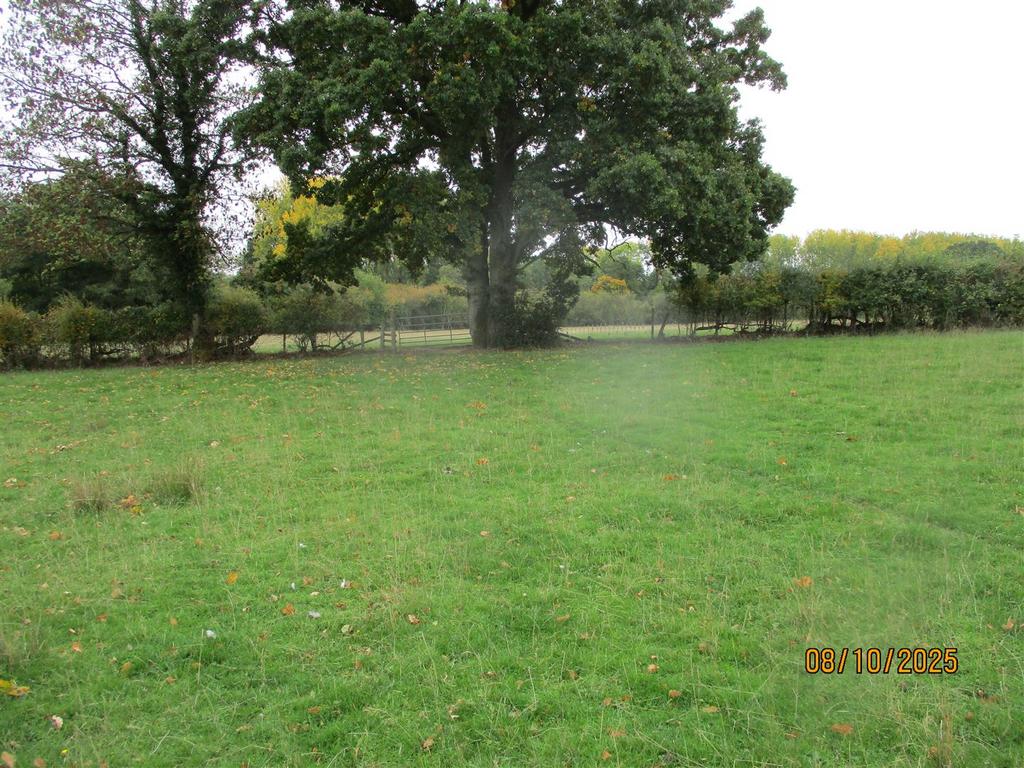 Img 9877.jpg