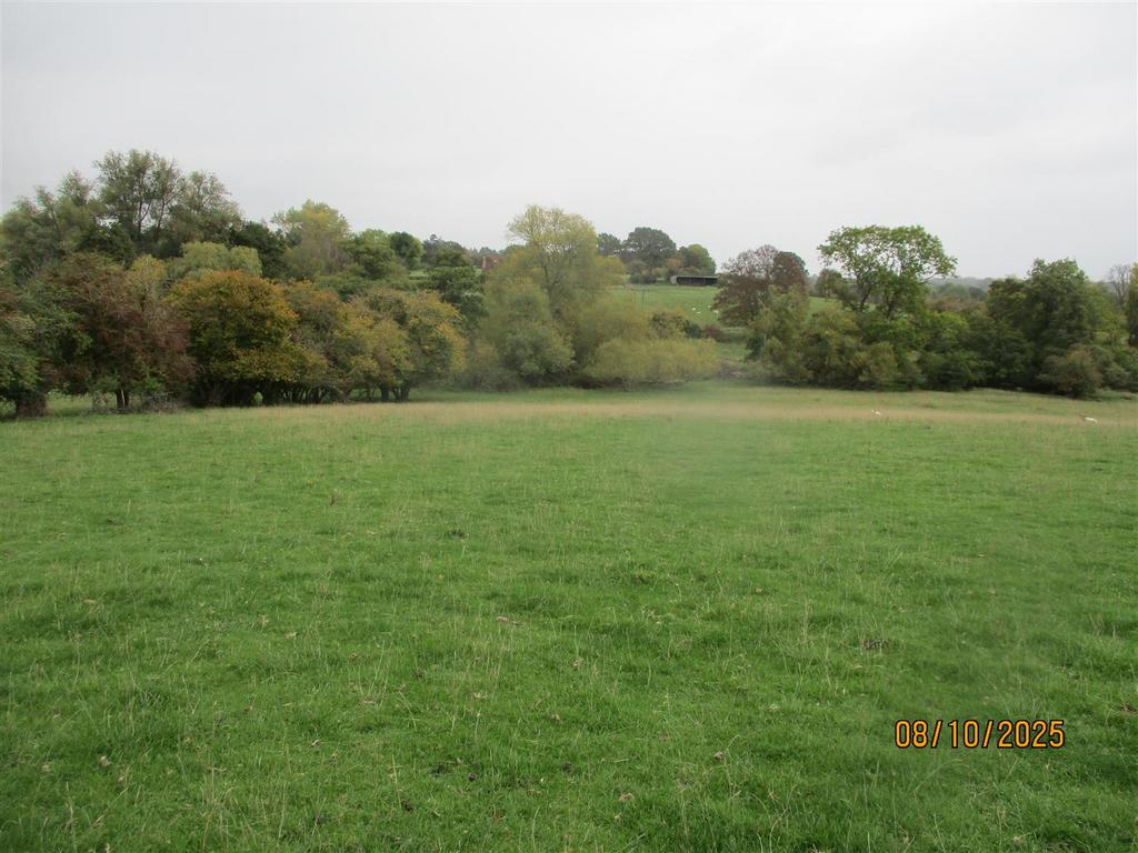 Img 9876.jpg