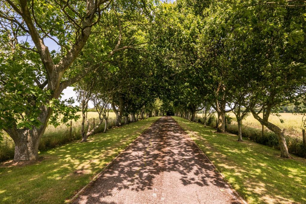Driveway