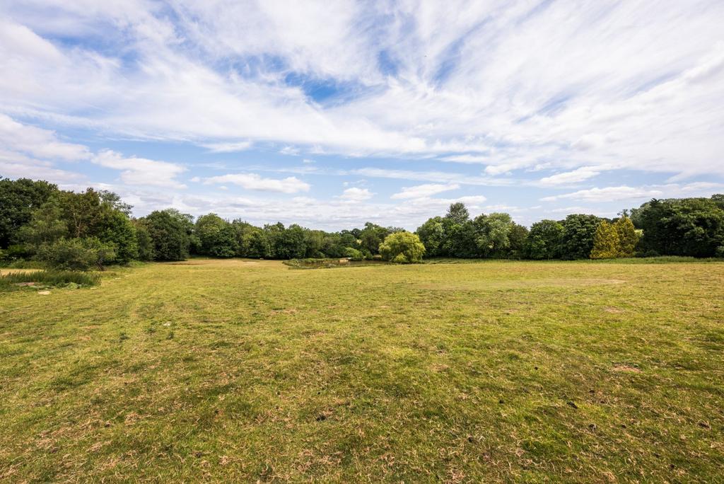 Grounds