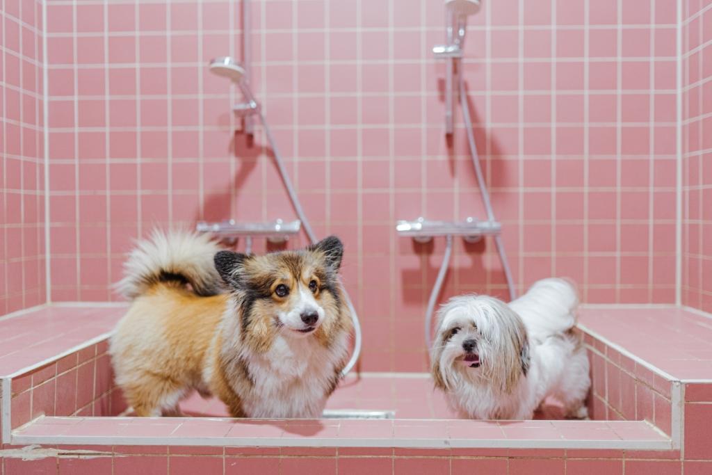Pet Spa