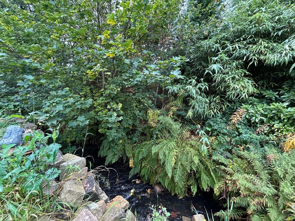 Stream