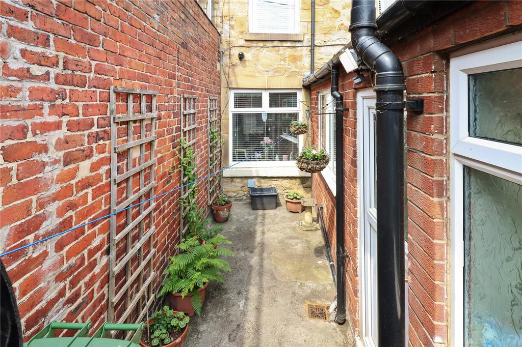 Rear Yard