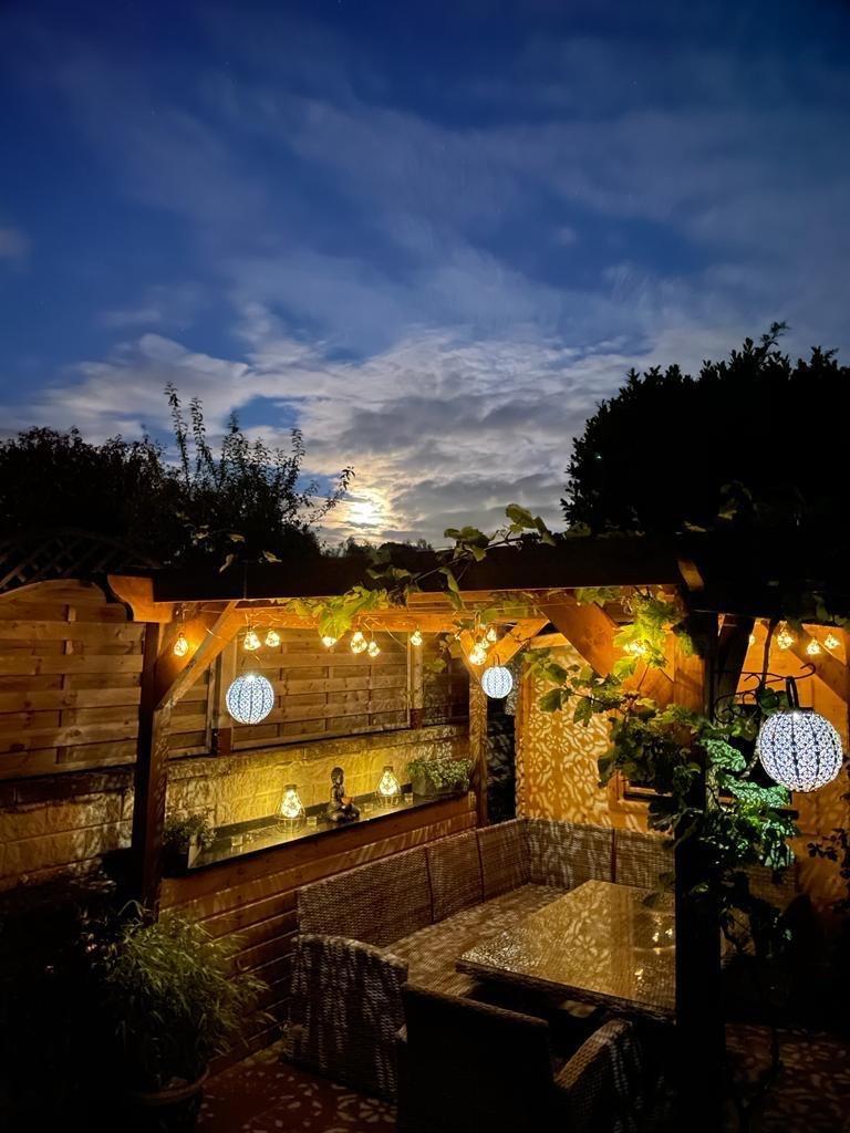 Garden at Night
