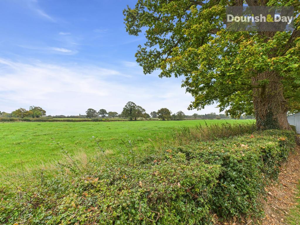 Adjacent Field To The Side