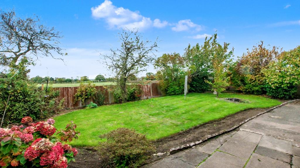 2025-Oct-17 12-15-11.jpeg