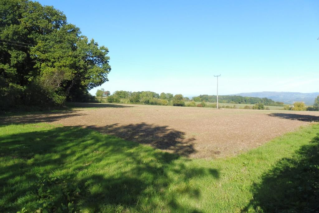 Lot 1