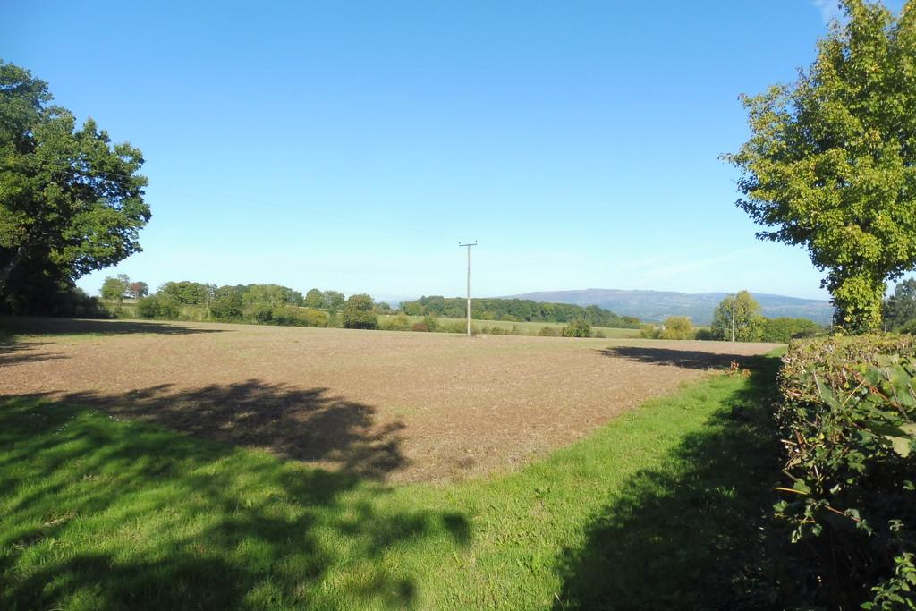 Lot 1