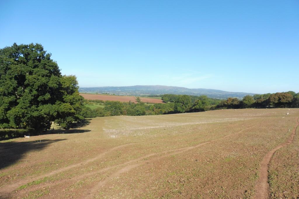 Lot 2