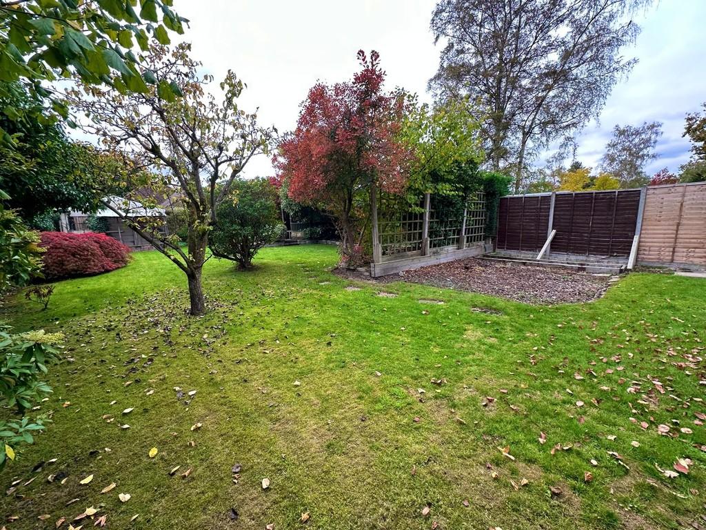 Img 20251019 wa0030
