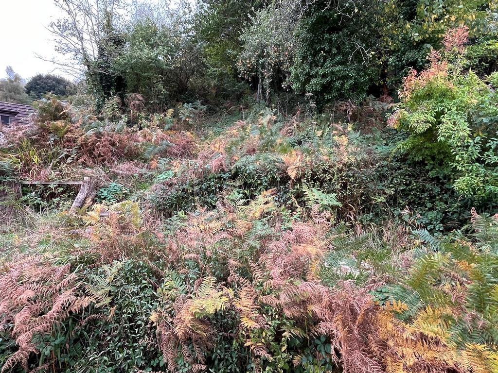 Rear Garden.jpg