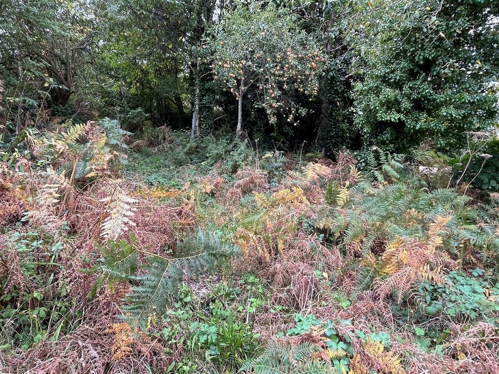 Rear Garden 2.jpg