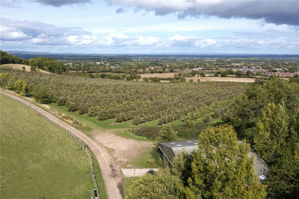 Paerial View