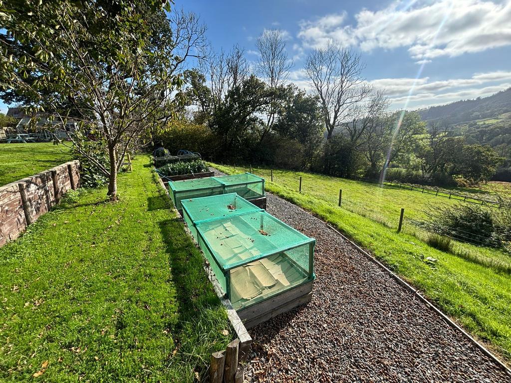 Vegetable garden