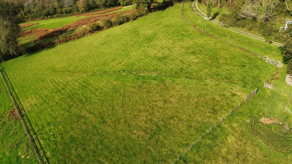 Pasture paddock (second image)