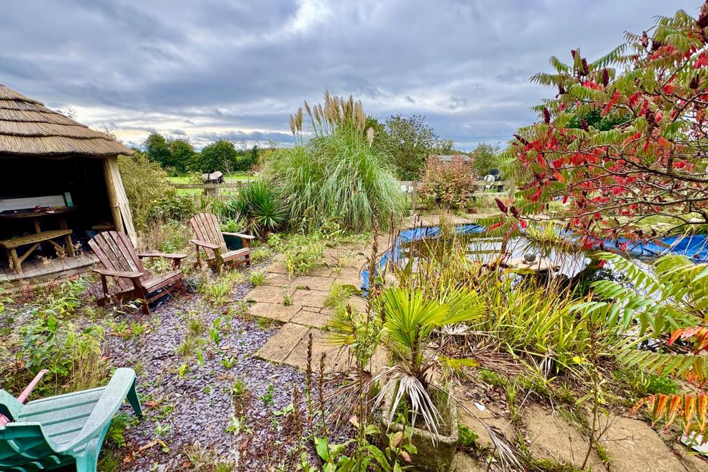 Pond Area