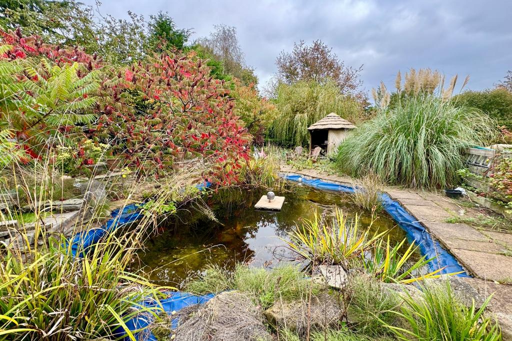 Pond Area
