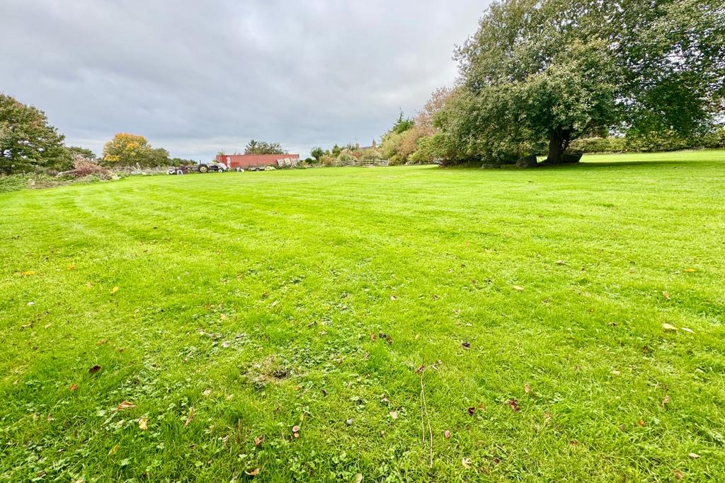 Main Field