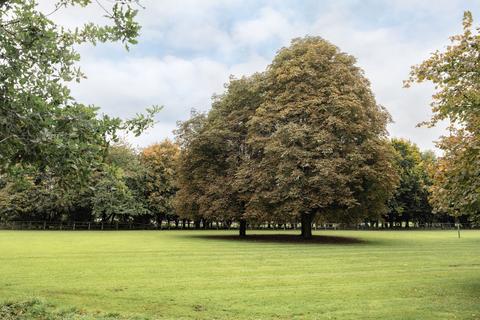 undefined, Wigginton, Tring, Hertfordshire HP23