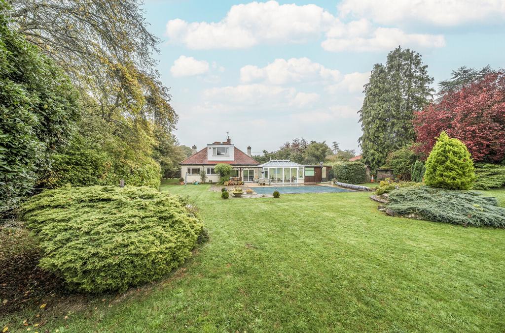 13626481968ed3bfa3c962