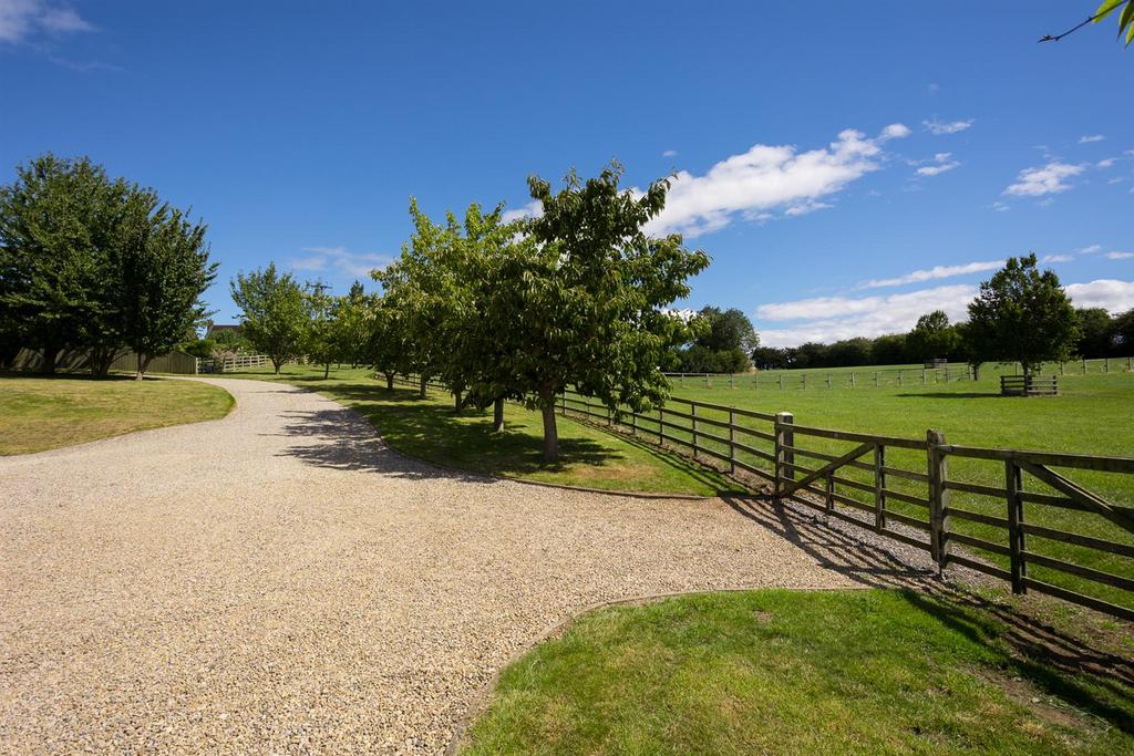 Driveway