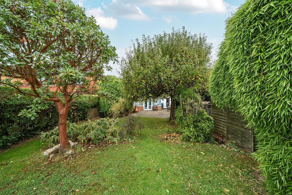 Garden view, garden