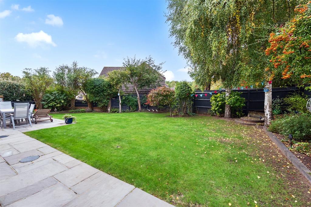 Picture No. 16