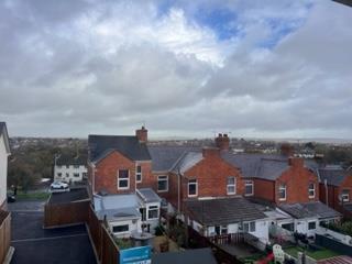 IMG 4390.jpg