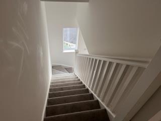 IMG 4397.jpg