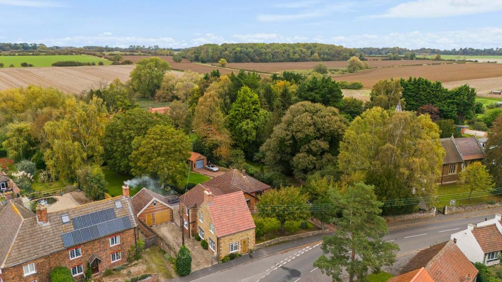 Aerial Shot