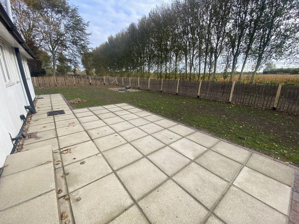 Back Garden